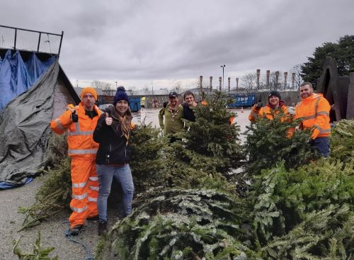 Recycling crews and Scouts stand beside Christmas trees at Cupid Green Depot