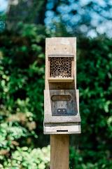 Solitary bee house, The Walled Garden, Gadebridge Park in Hemel Hempstead